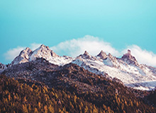 韩国队集训名单：黄喜灿入选 朴志洙金玟哉缺席