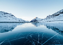 小马驹初露锋芒大吉鲁老而弥坚 法国2020完美收官