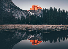 小马驹初露锋芒大吉鲁老而弥坚 法国2020完美收官